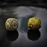 GREEN MUSSEL SUPREME (GMS) PRO